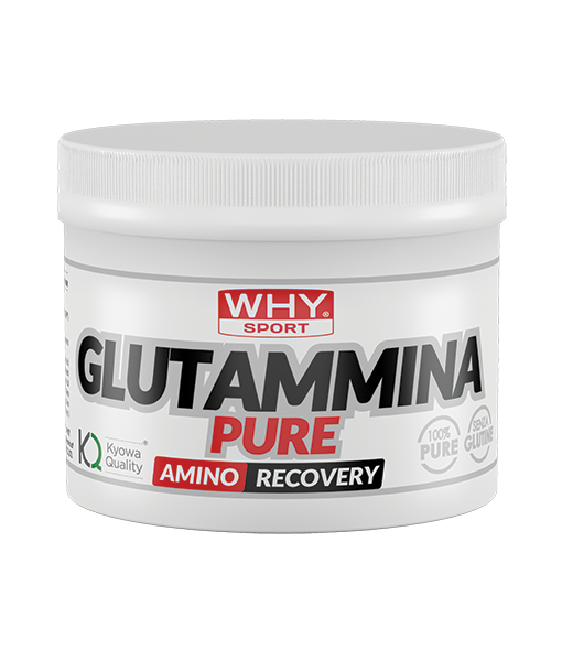 why-sport-shop-integratori-aminoacidi-glutammina-pure-250g